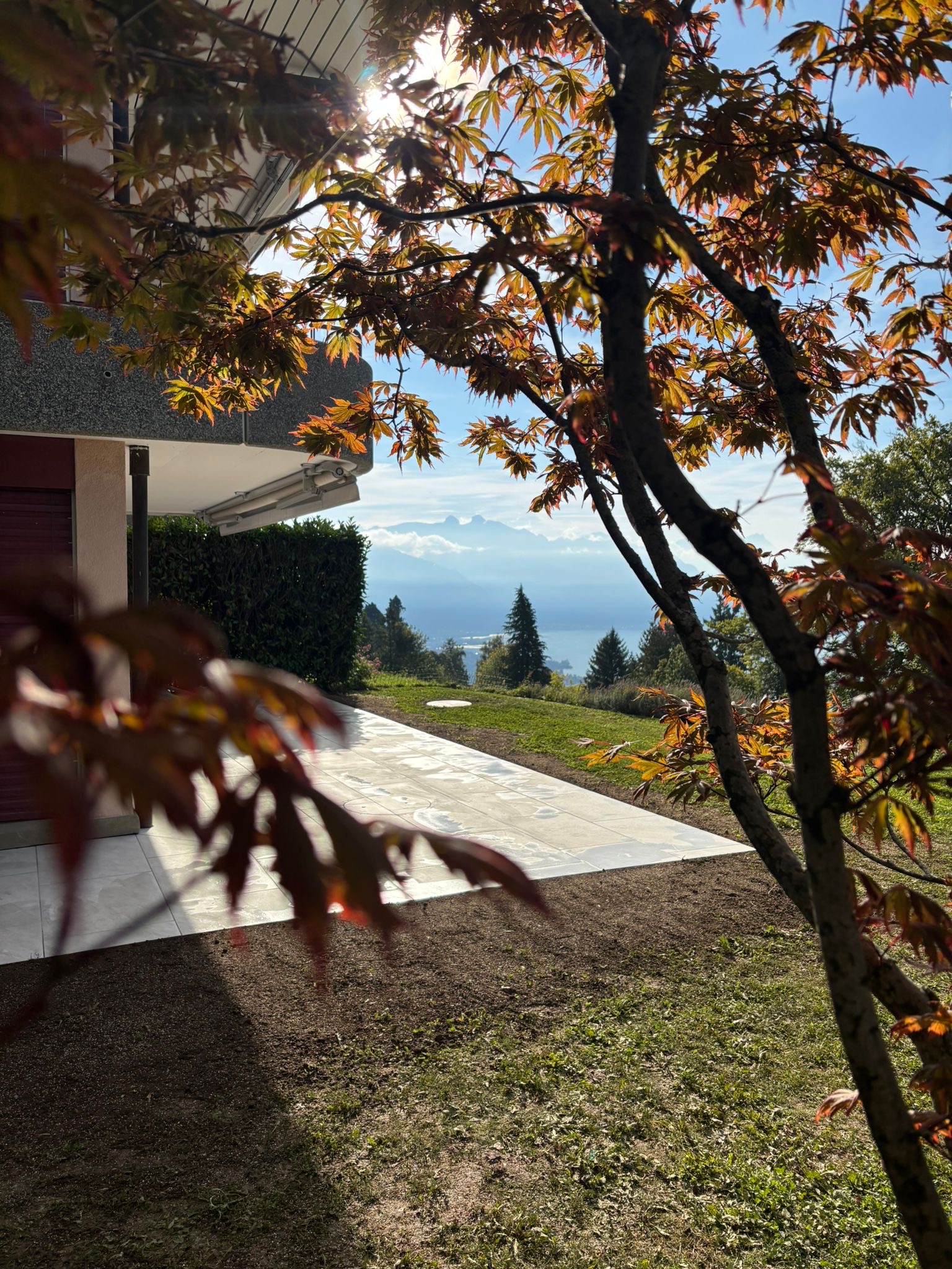 c841e03d-2e6f-4dd5-b312-8aba047570ab