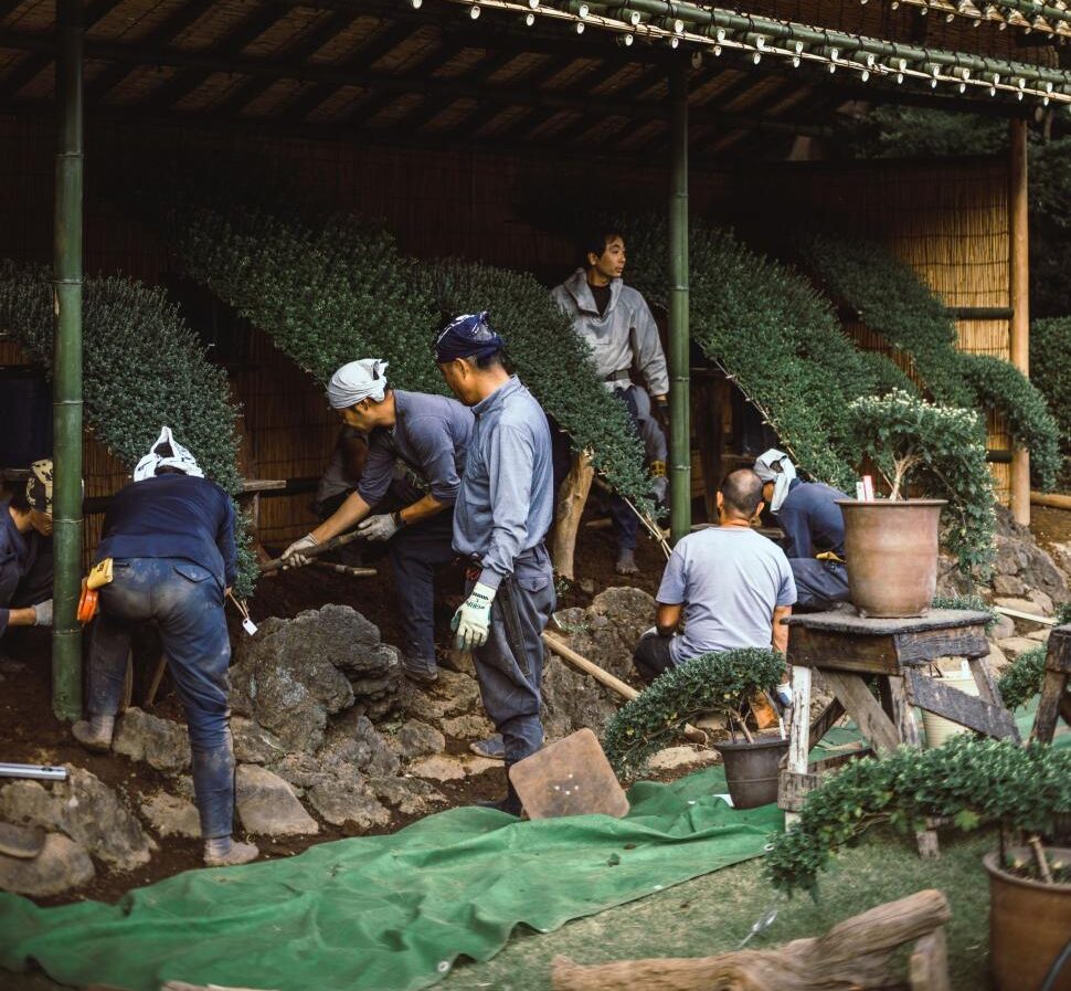 men-working-together-in-a-garden