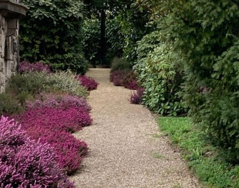 Allée de jardin entourée de massifs fleuris et de végétation
