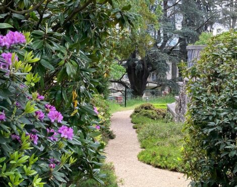 Chemin de jardin entre arbustes et fleurs roses