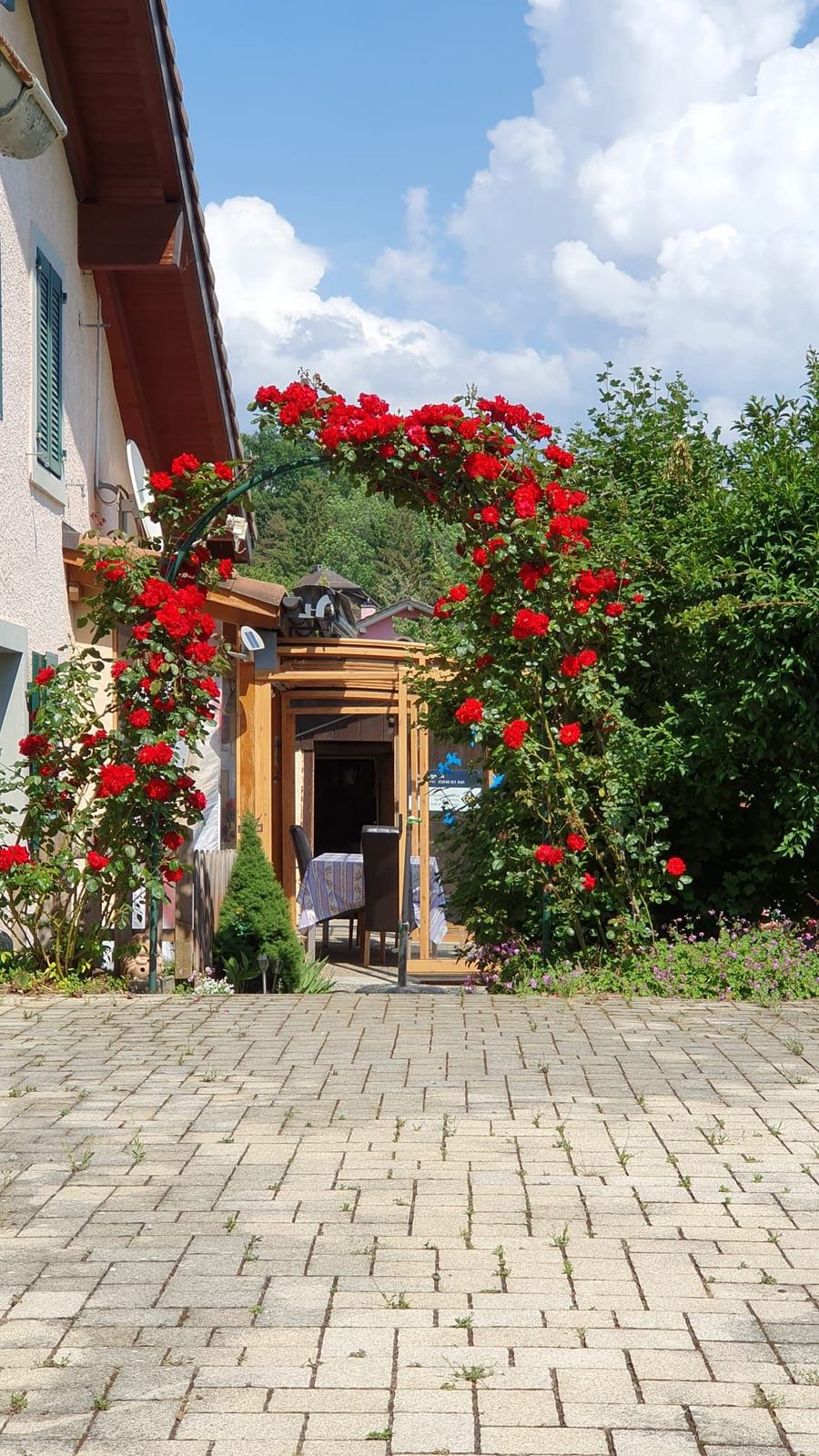 Rosiers rouges en fleurs autour de l’entrée d’une maison