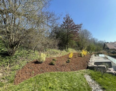 Massif nouvellement planté et paillé en bordure de jardin