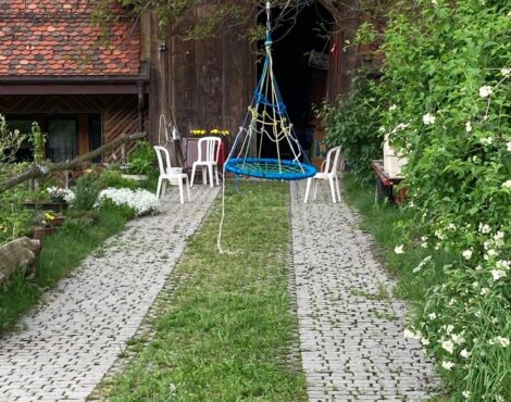 Chemin pavé végétalisé entre des massifs de jardin