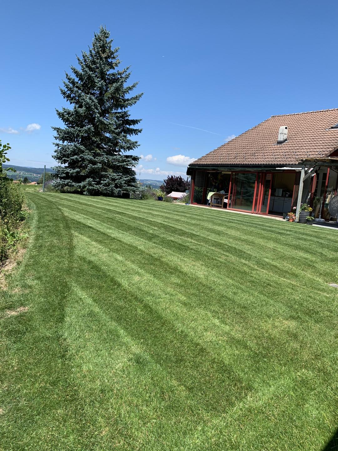 Pelouse rénovée et tondue dans un jardin à Maracon